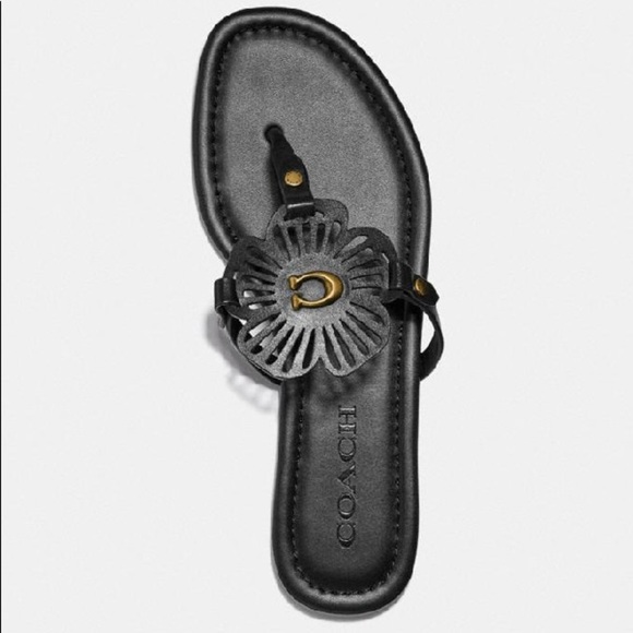 Coach Julia Sandal - Picture 8 of 9